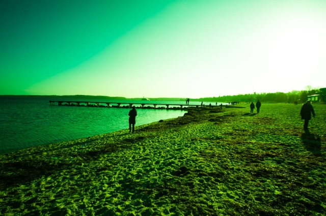 templatecrossedgreen-2