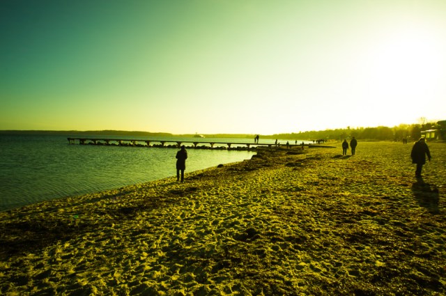 templatecrossedyellow-2