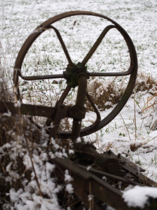 Dieses Foto zeigt deutlich, dass die E-P5 mit dem 2.8/60 fehlfokussiert hat, und das obwohl die Bedingungen nicht allzu schlecht waren.
