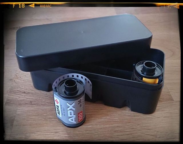 11137156_10204230846990618_3411883859208365655_n