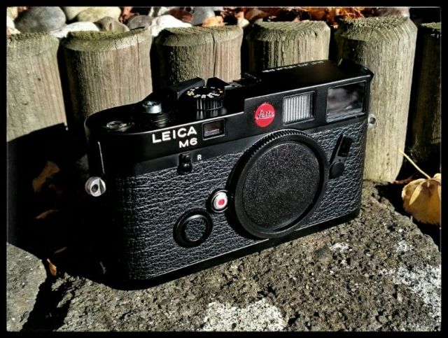 12107290_10205307580828291_1001113029055215883_n