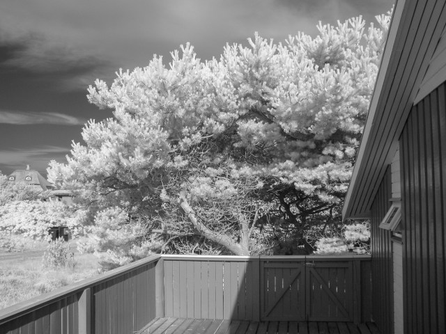 IR_bw-1